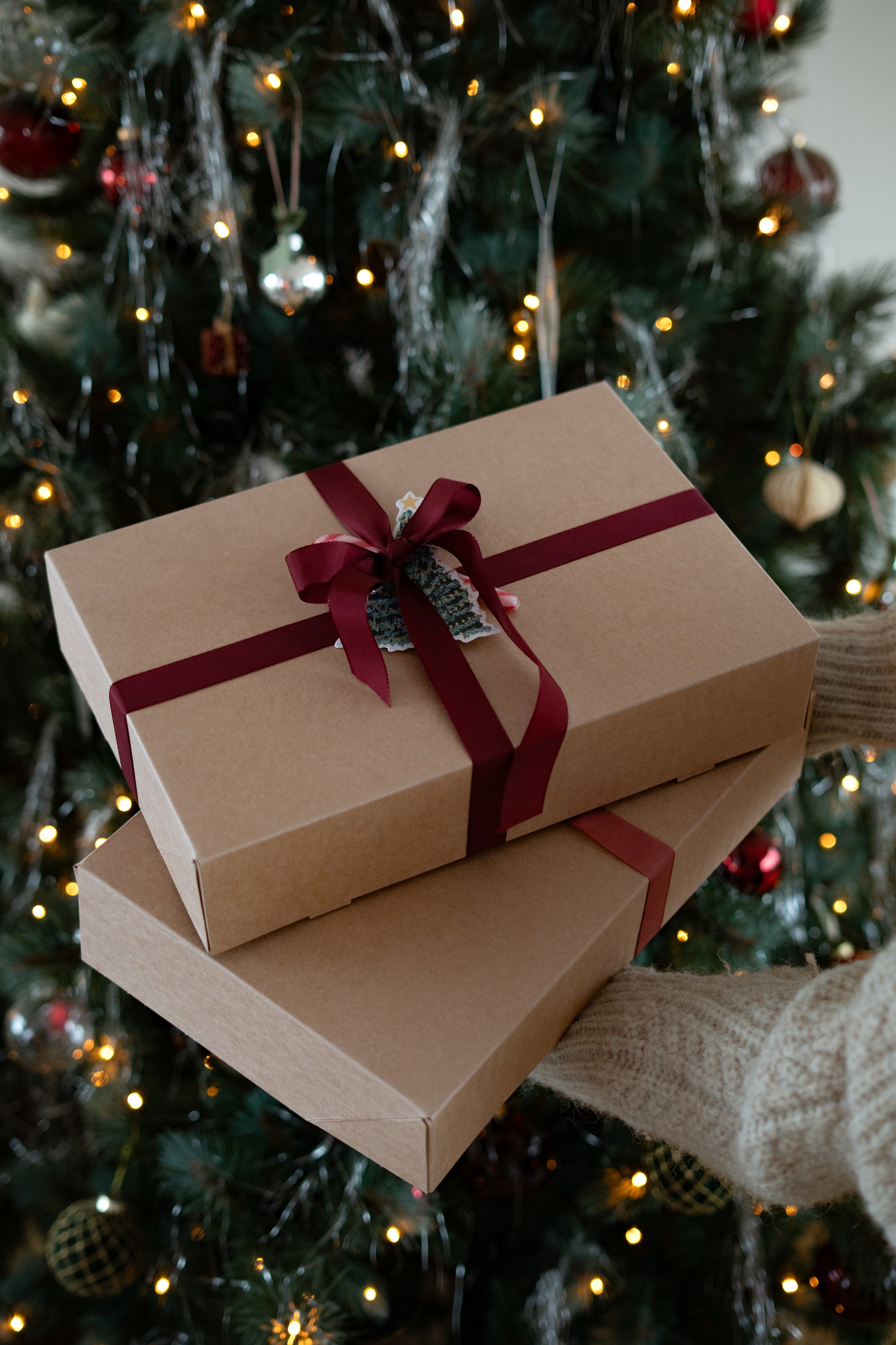 Christmas Box - groot